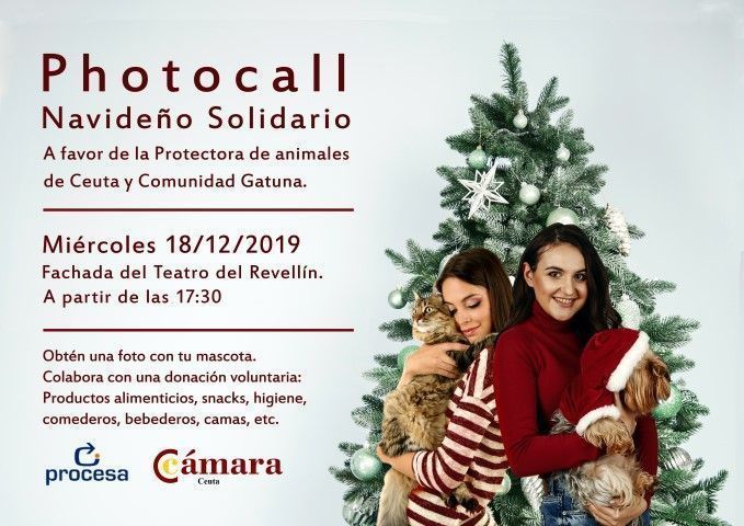La Cámara de Comercio organiza un photocall navideño solidario para mascotas