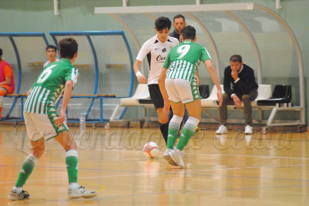 Deportivo DH Betis 30 11 2019 06