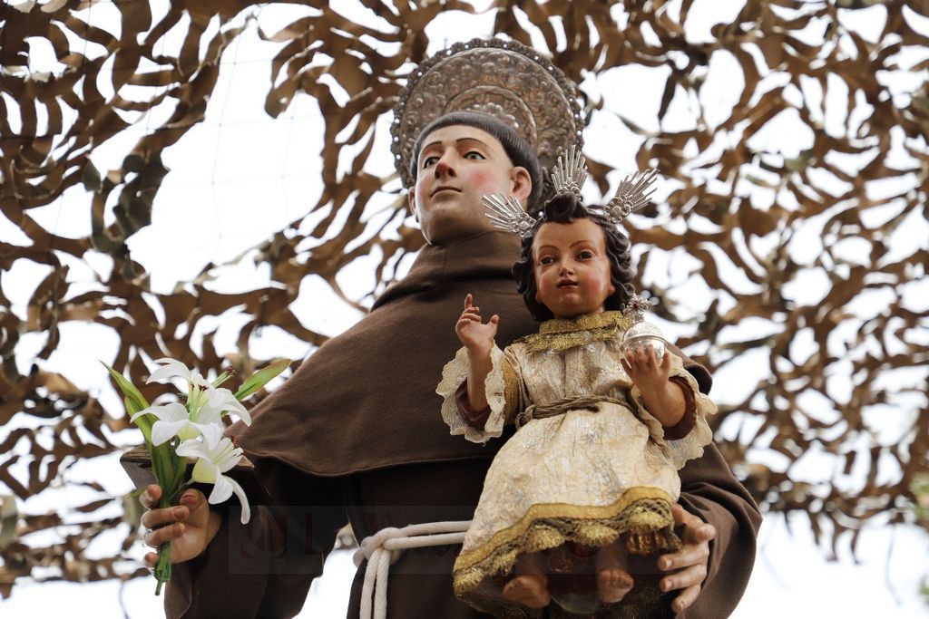 La Cofradía de San Antonio presenta el jueves el Año Jubilar Antoniano