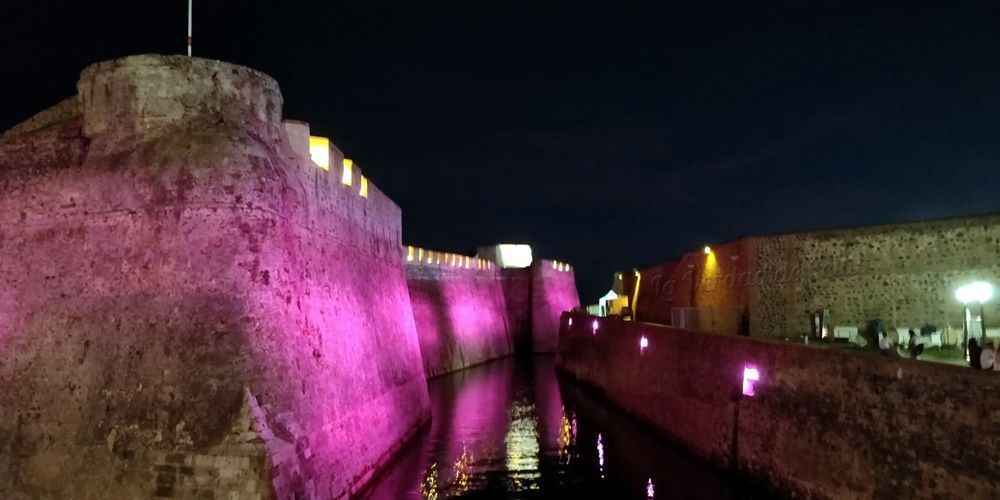 Murallas reales Rosa Acmuma 2019