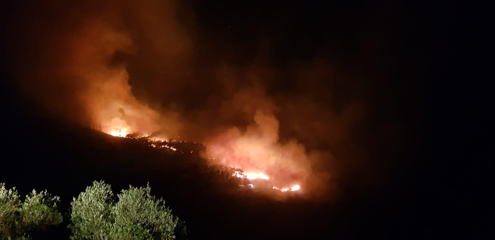 MDyC presenta varias alegaciones al Plan de Prevención contra Incendios Forestales