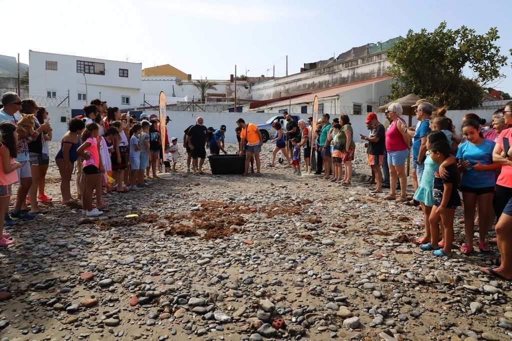 Liberada una nueva Tortuga en la playa de San Amaro