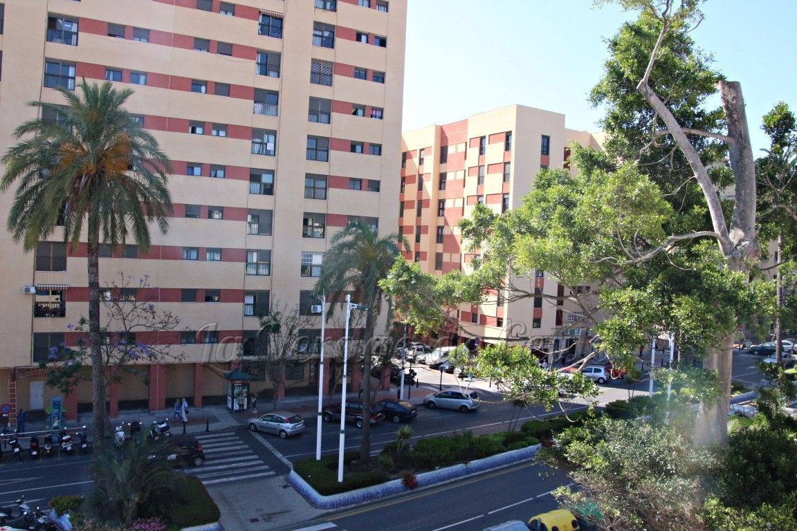 Adjudicadas las obras de mejora de los jardines de Rosende