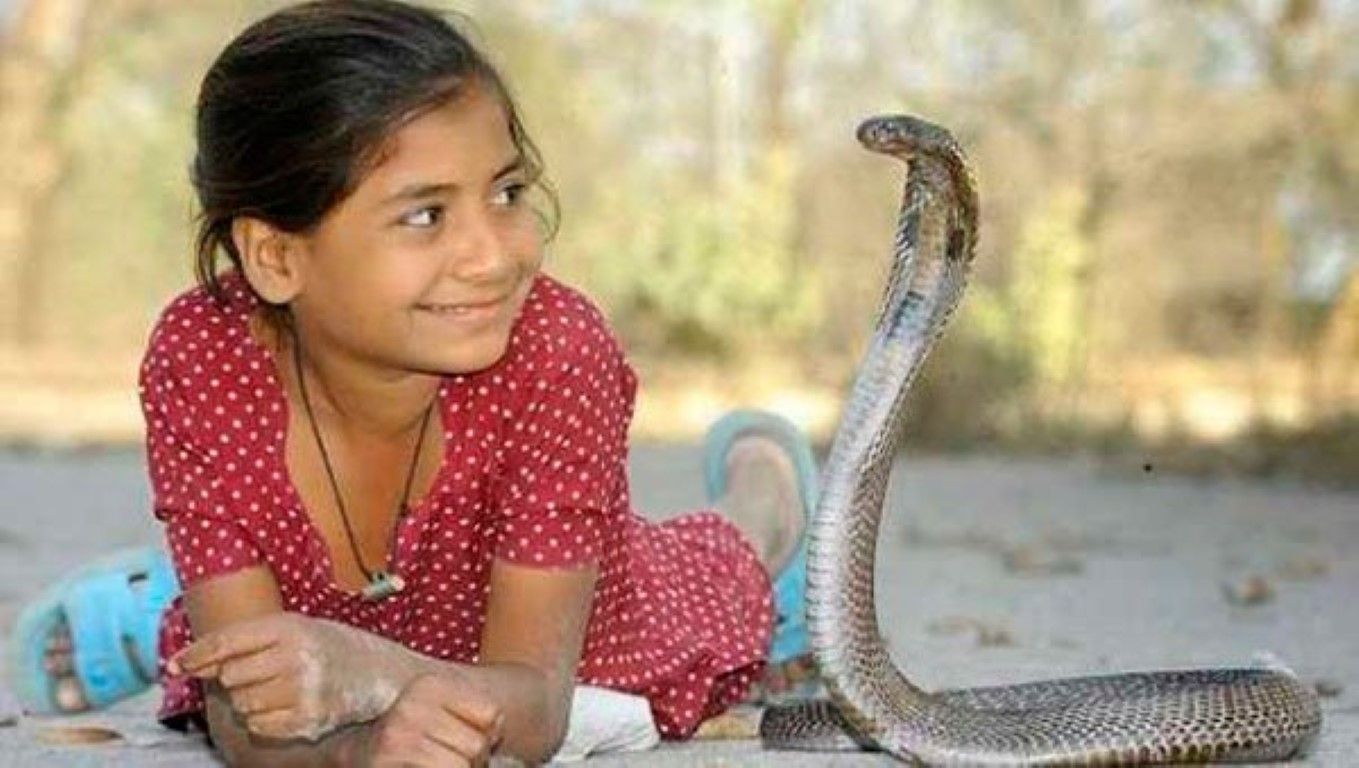El santo y la serpiente