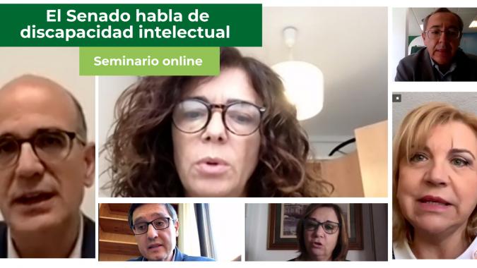 Plena Inclusión lleva al Senado la voz de las personas con discapacidad intelectual o del desarrollo