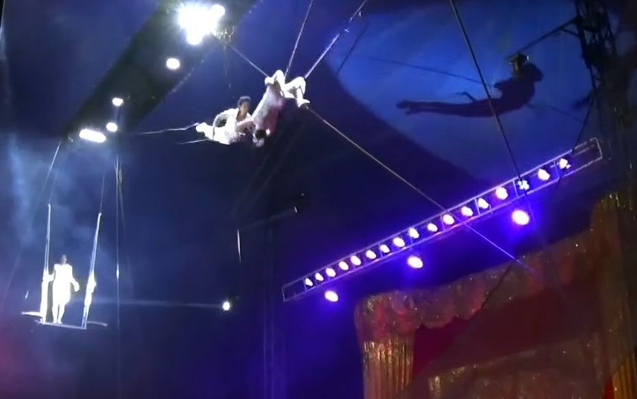 El circo es el espectáculo que más sufre los efectos del covid-19