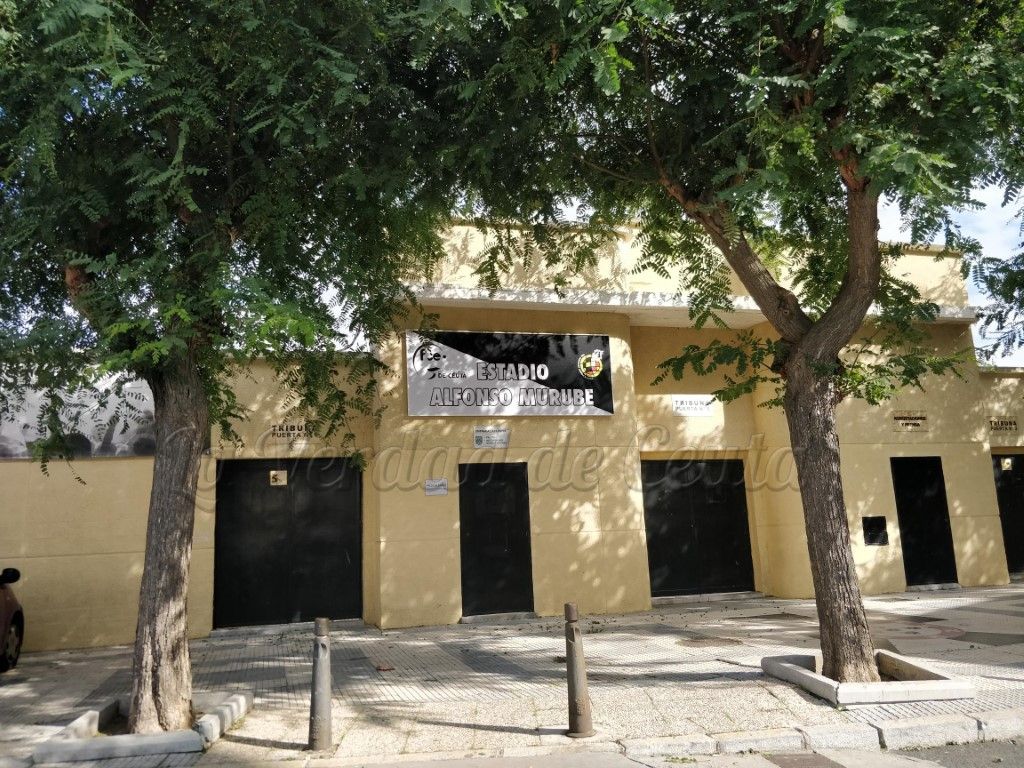 El césped natural del Murube se tratará el lunes en un Consejo de Gobierno extraordinario