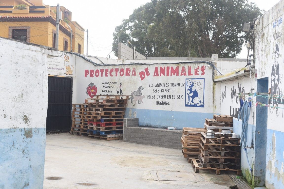 La Ciudad concede 145.000 euros a la Protectora para garantizar el bienestar de los animales acogidos