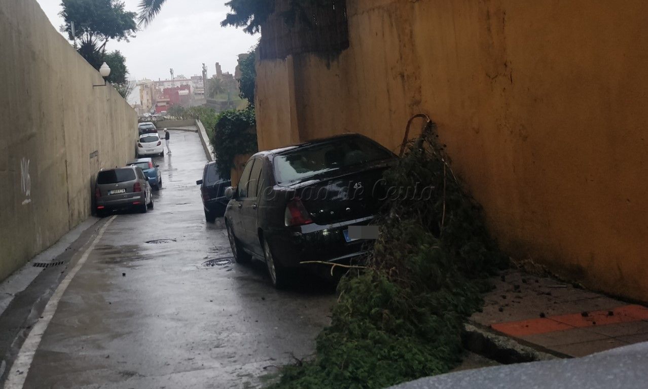 Cómo reclamar por los daños materiales causados por la borrasca Filomena