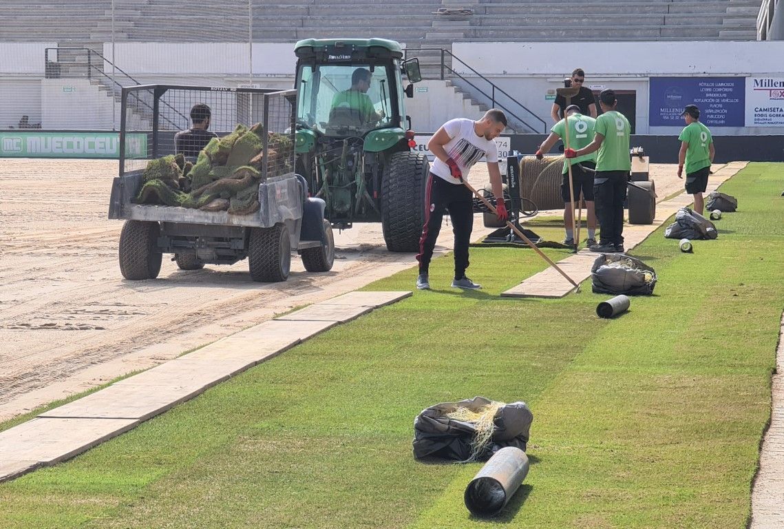 Comienza la implantación del césped natural del estadio Alfonso Murube 