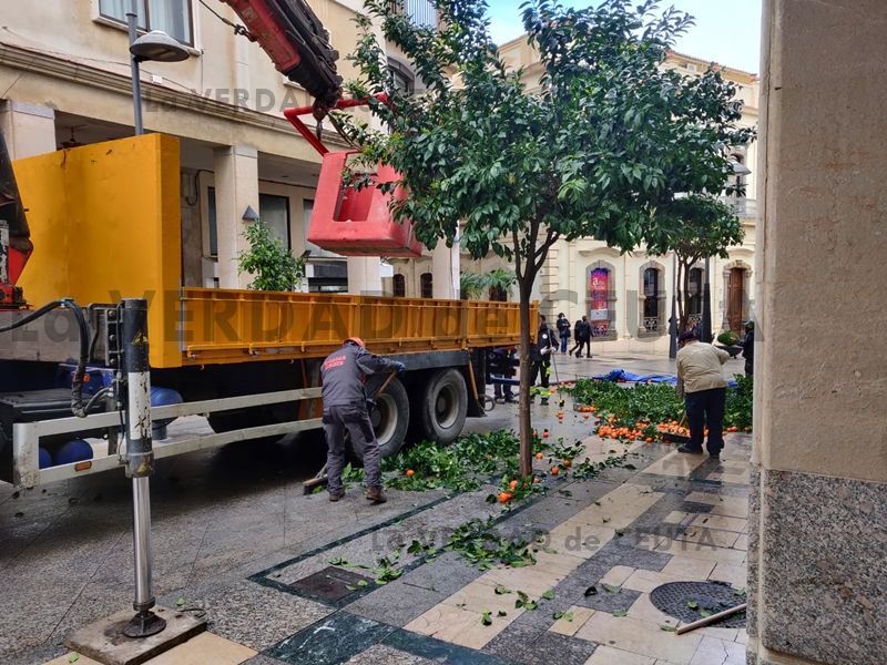 El MDyC afirma que consigue la integración de las Brigadas Verdes en Obimace