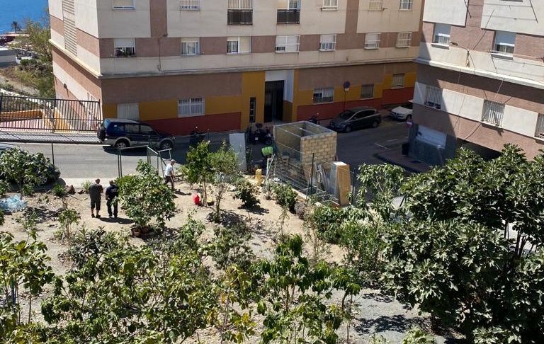 Los vecinos de la barriada de La Reina ponen en marcha un huerto ecológico