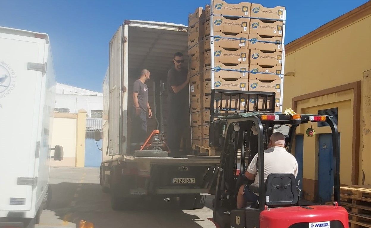 Donacion platanos 2