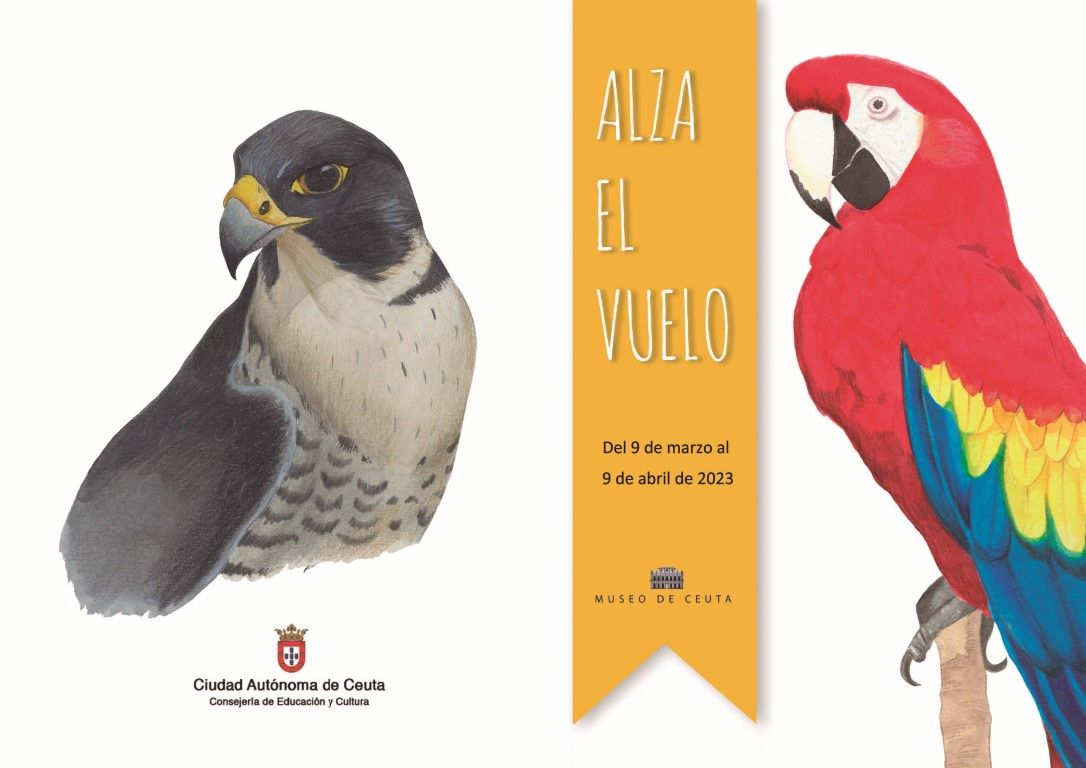 El Museo de Ceuta acogerá una exposición sobre distintos tipos de aves
