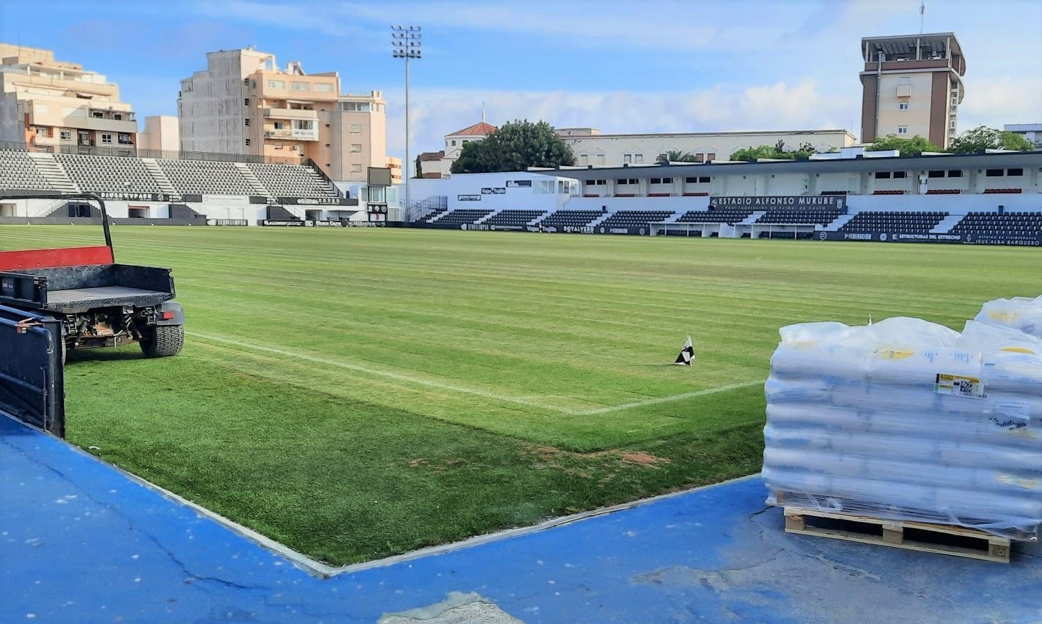 Comienzan los trabajos de resiembra del césped del estadio Alfonso Murube