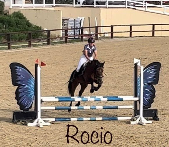 HIpica sotogrande 6