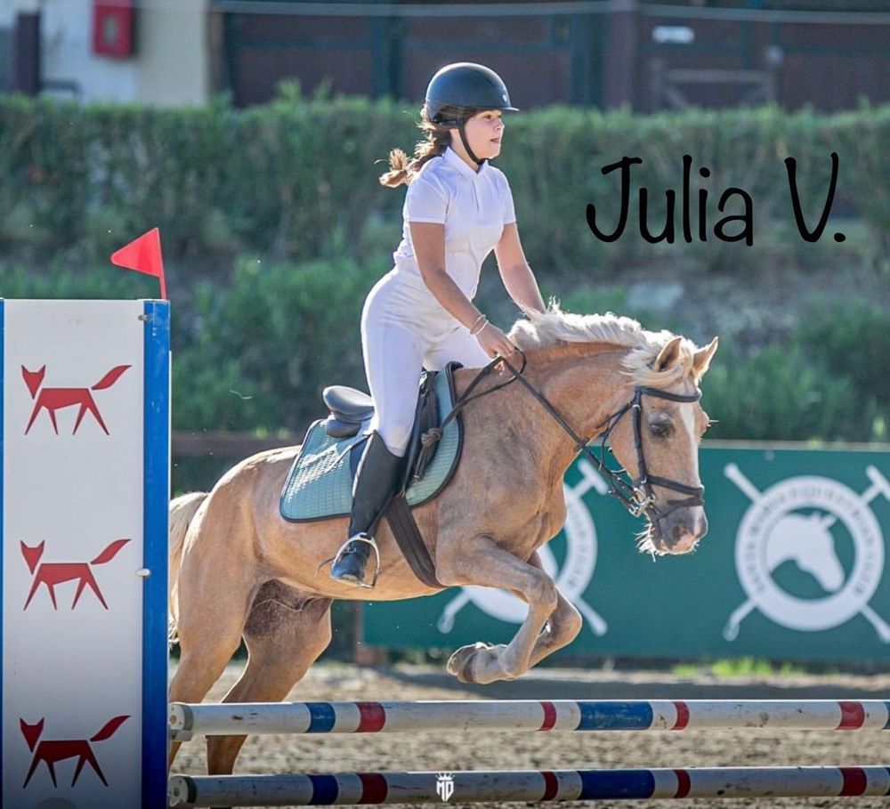 HIpica sotogrande 8