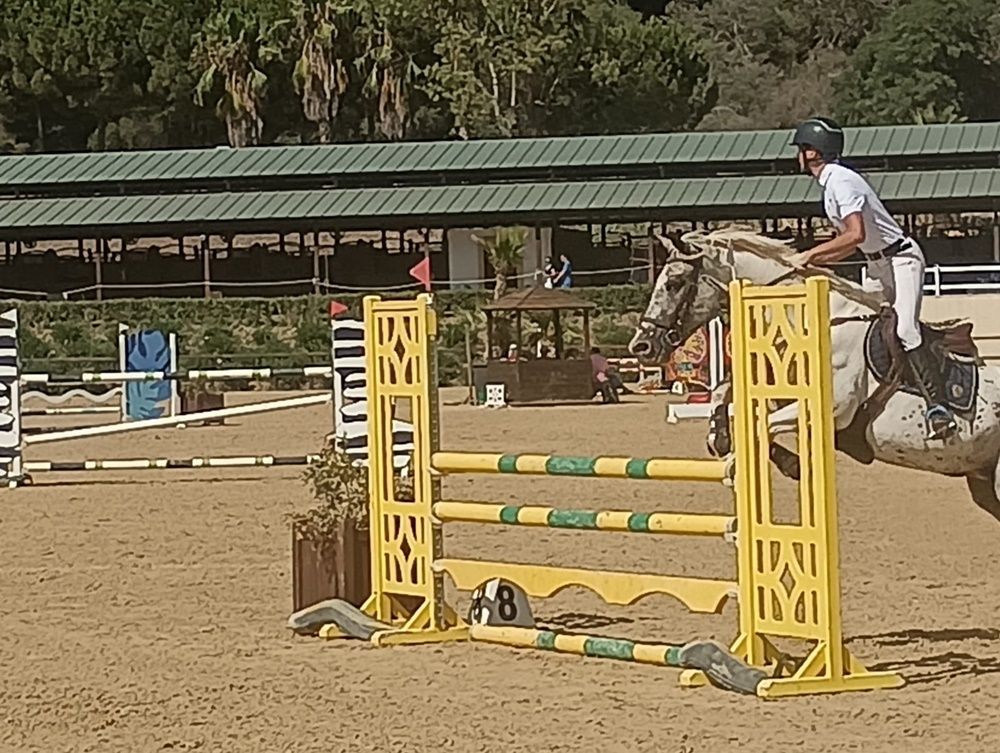 HIpìca sotogrande 5