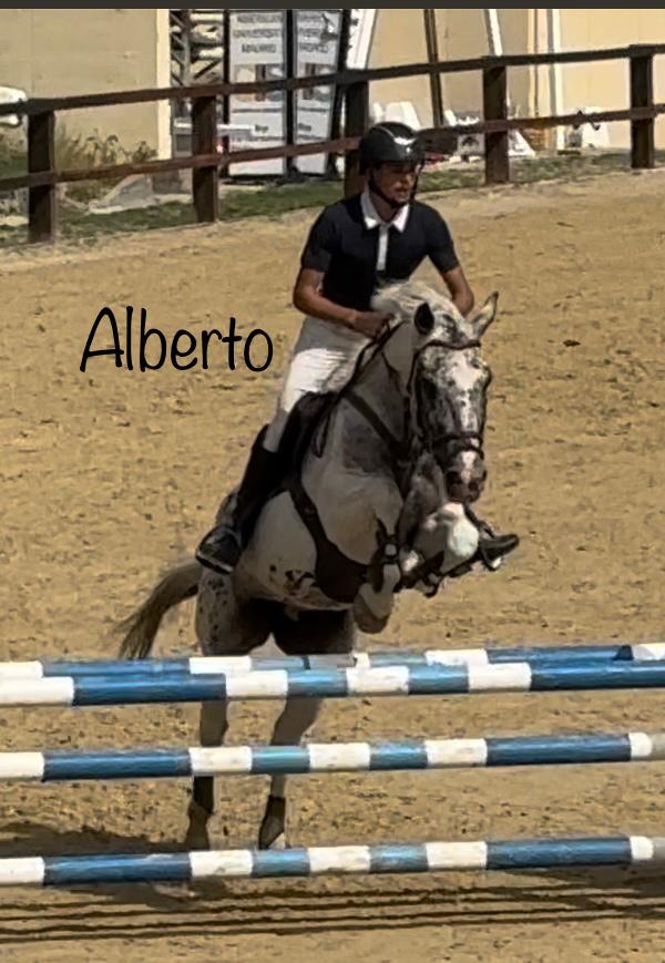 Hipica Sotogrande 3