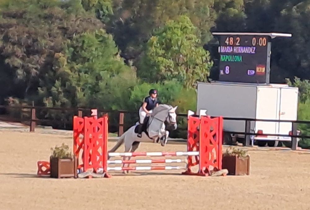 Hipica sotogrande 10