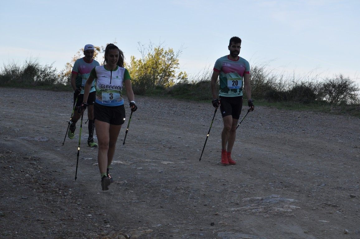 Marcha Nordica 111123 33
