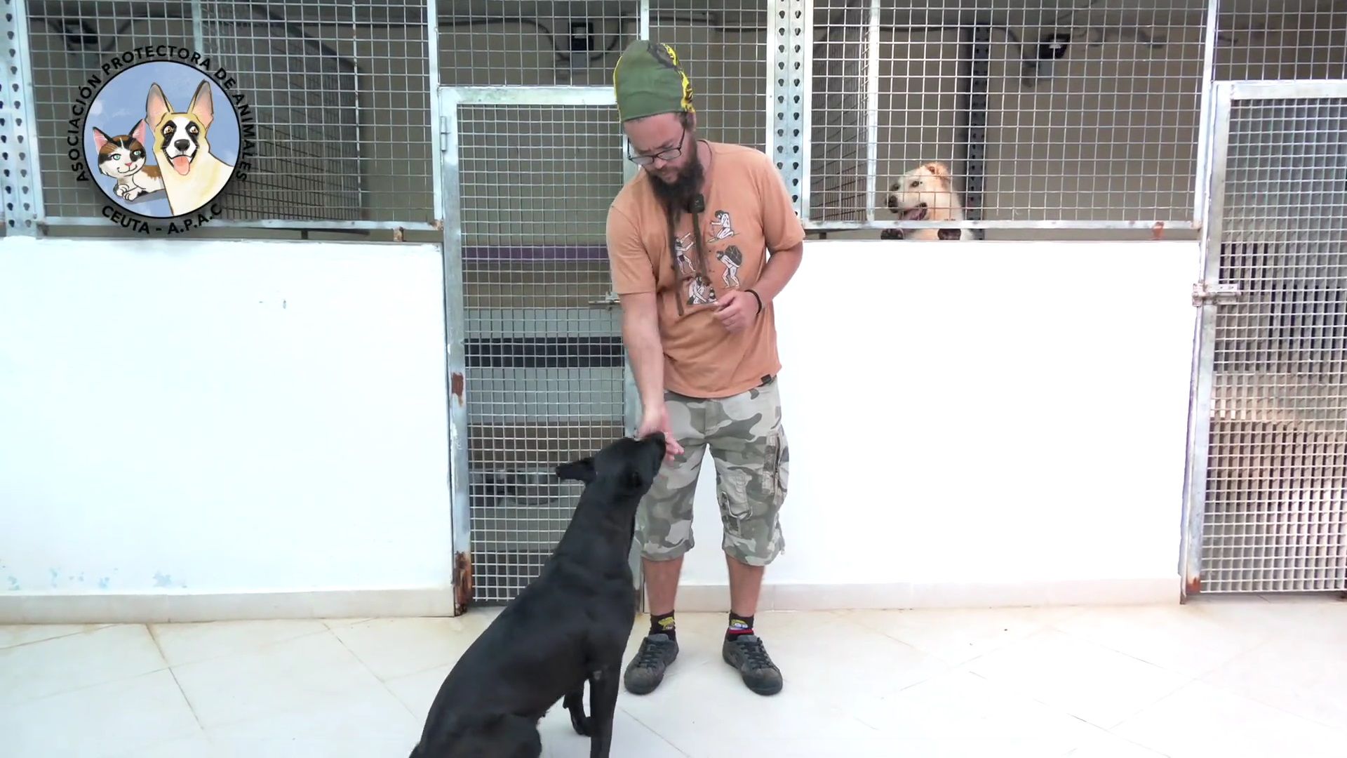 La Protectora de Animales de Ceuta se prepara para formar a su voluntariado en educación canina