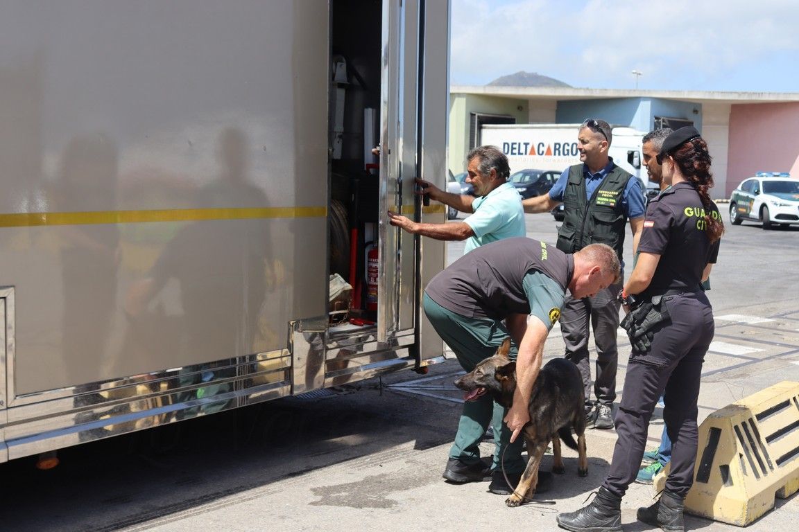 El menor número de entradas de marroquíes por la frontera condiciona la “Operación Feriante”