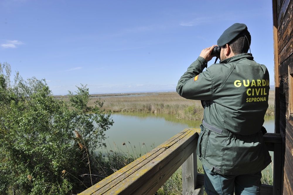 Guardia Civil detiene a 325 personas por delitos medioambientales en 2023