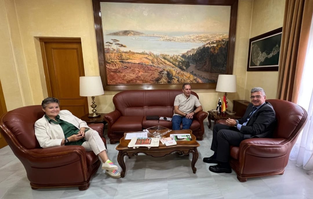 El delegado del Gobierno recibe al Colegio de Oficiales Diplomados en Trabajo Social y Asistentes Sociales