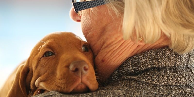 Tener una mascota podría ser clave para combatir la soledad no deseada y prevenir el deterioro cognitivo