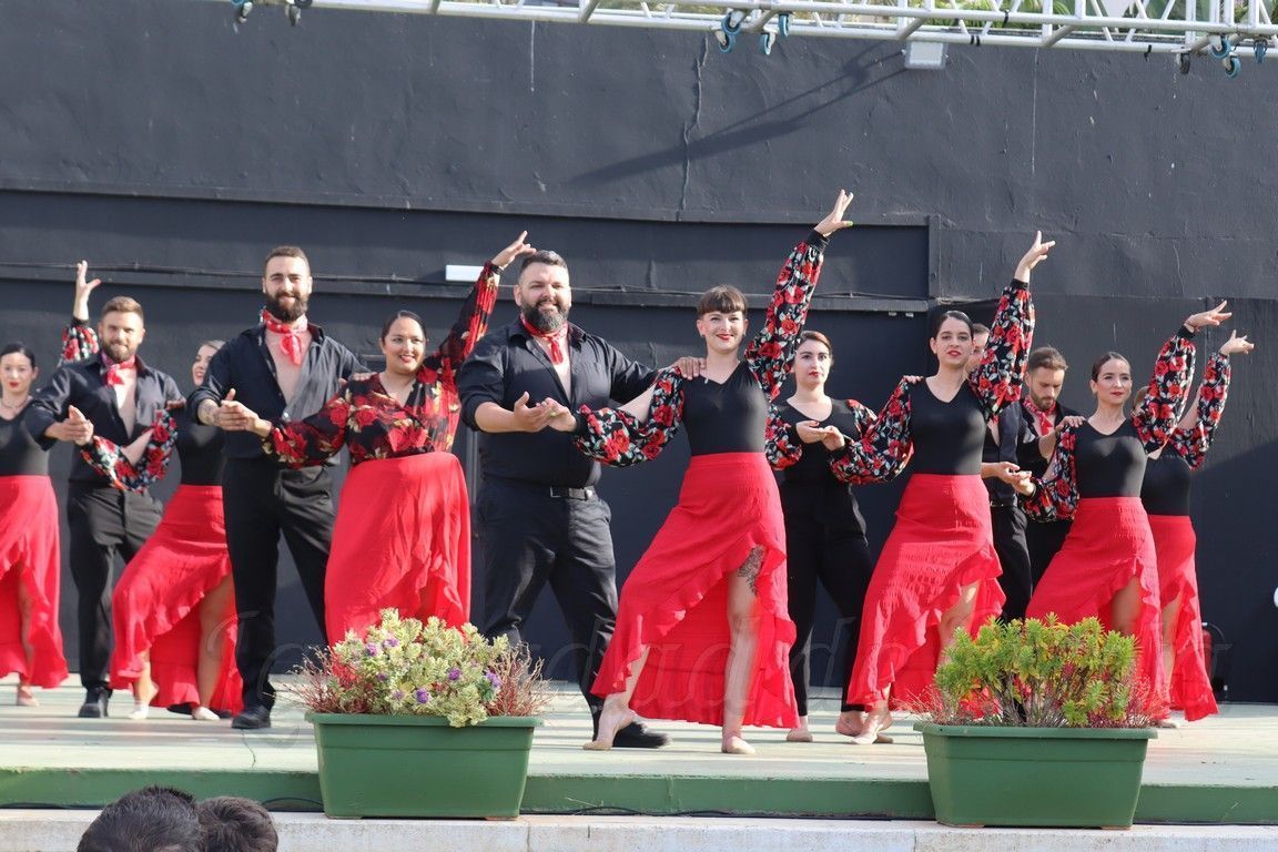 Festival LSE 2024 14