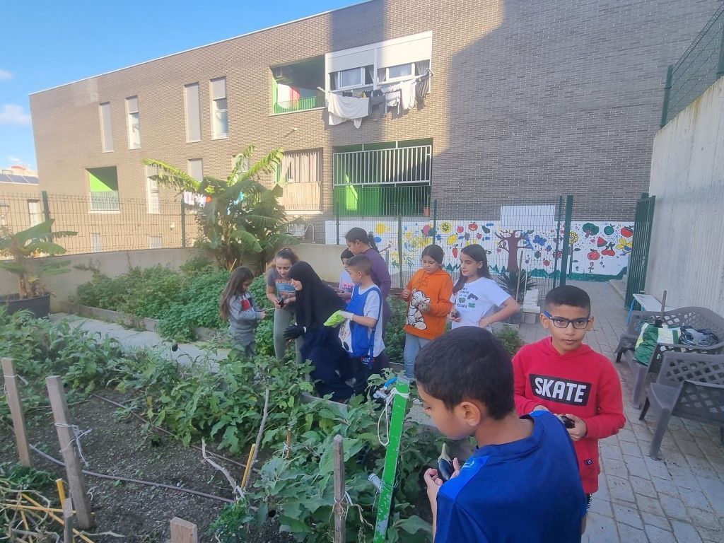 Niños de la Fundación Cruz Blanca y el huerto de Loma Colmenar se unen en el programa "Siembra feliz"