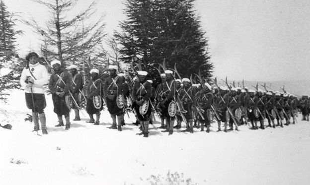 Unidad indigena