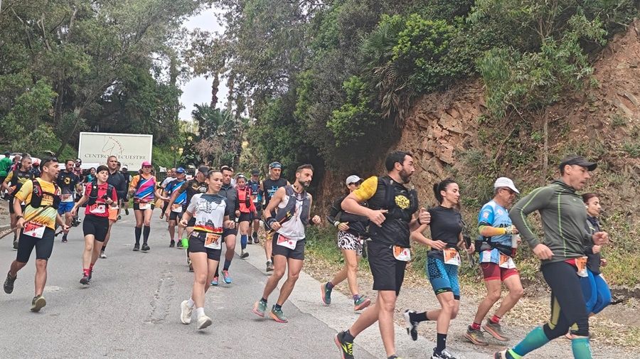 Trail Los Fuertes 2