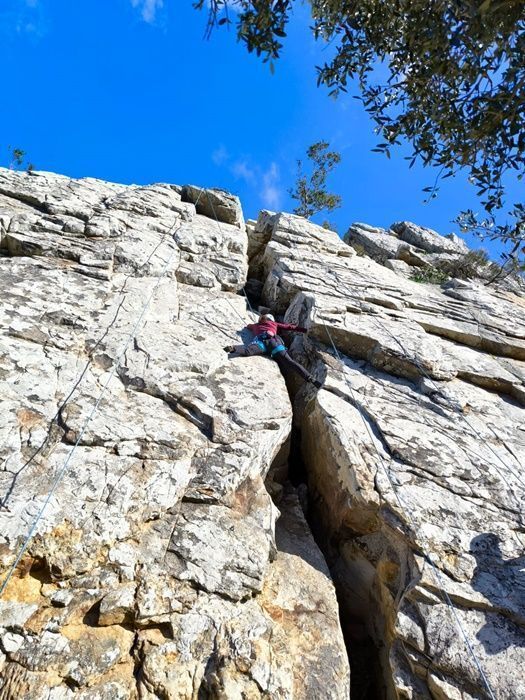 escuela escalada2