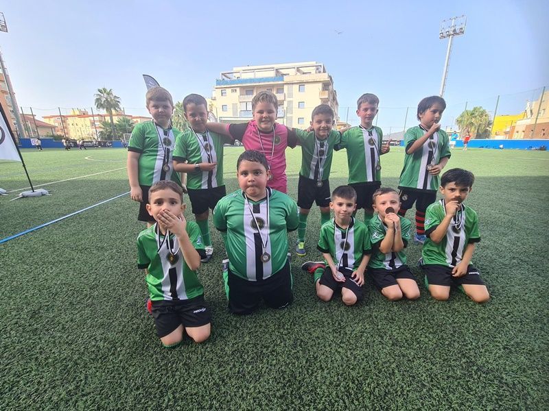 campeonato benjamn