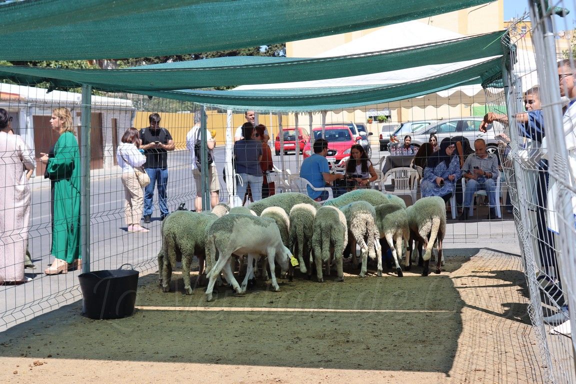 Los ceutíes cumplen con la tradición de la Fiesta del Sacrificio