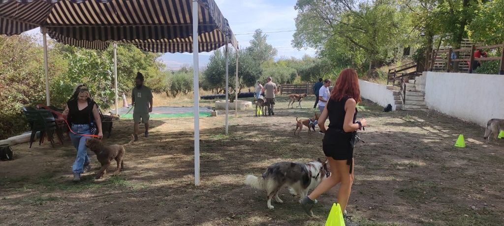 Ábrego, una Escuela Canina, llega a Ceuta con un enfoque innovador