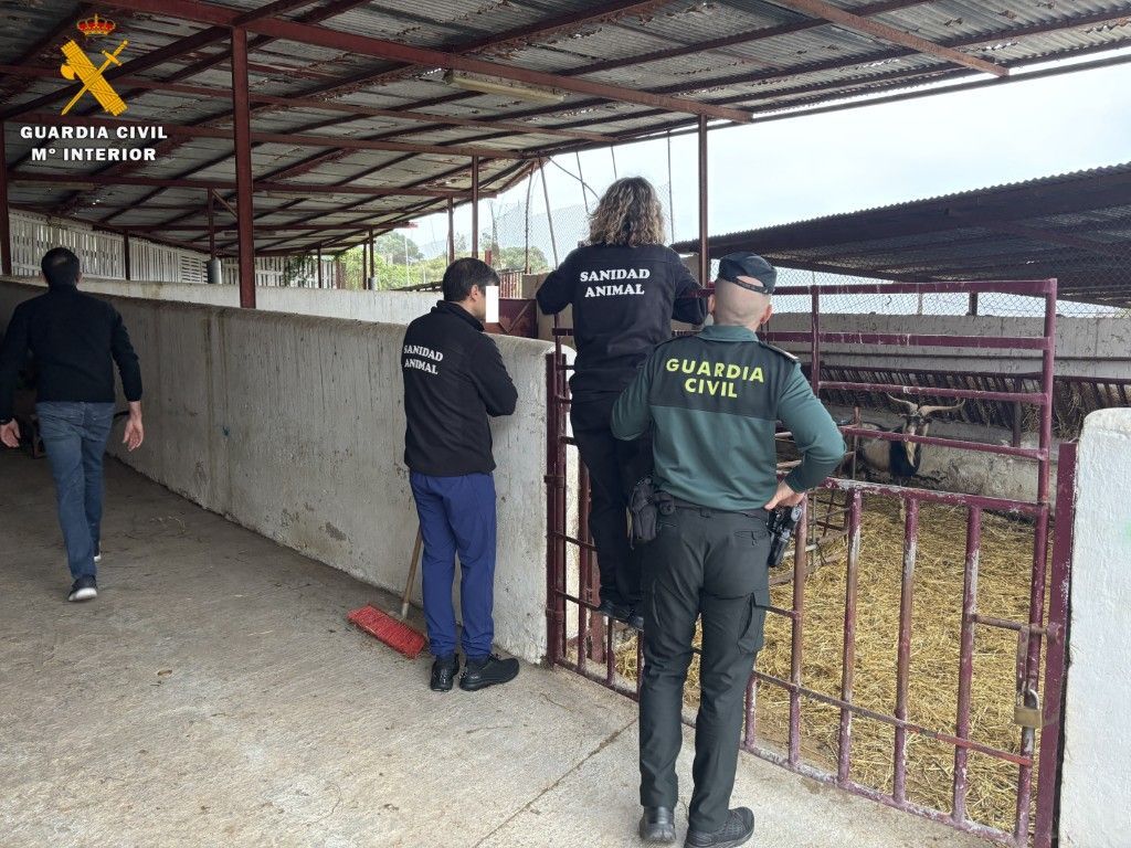 La Guardia Civil da a conocer varias actuaciones realizadas por el EPRONA