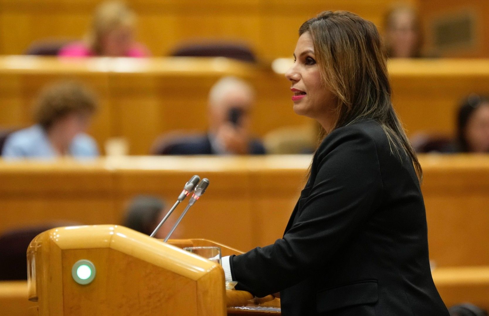 El PSOE denuncia "la irresponsabilidad de Benzina" por sumarse al boicot del PP a la ministra de Sanidad