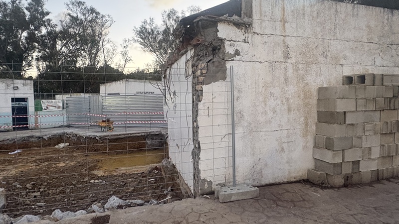 La Protectora denuncia la falta de apoyo institucional para mejorar el bienestar animal en Ceuta