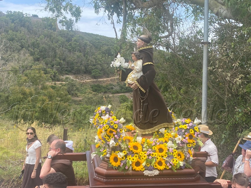 Romeria San Antonio 28
