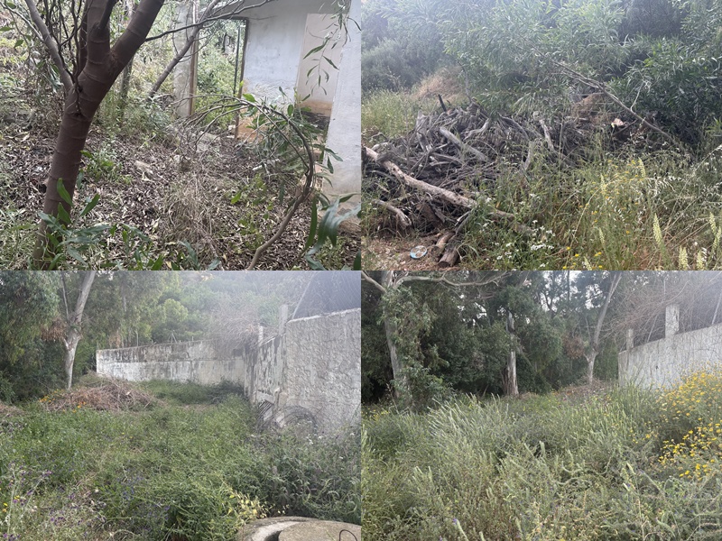 La Protectora de Animales de Ceuta denuncia riesgo de incendio por abandono de vegetación en el entorno de sus instalaciones