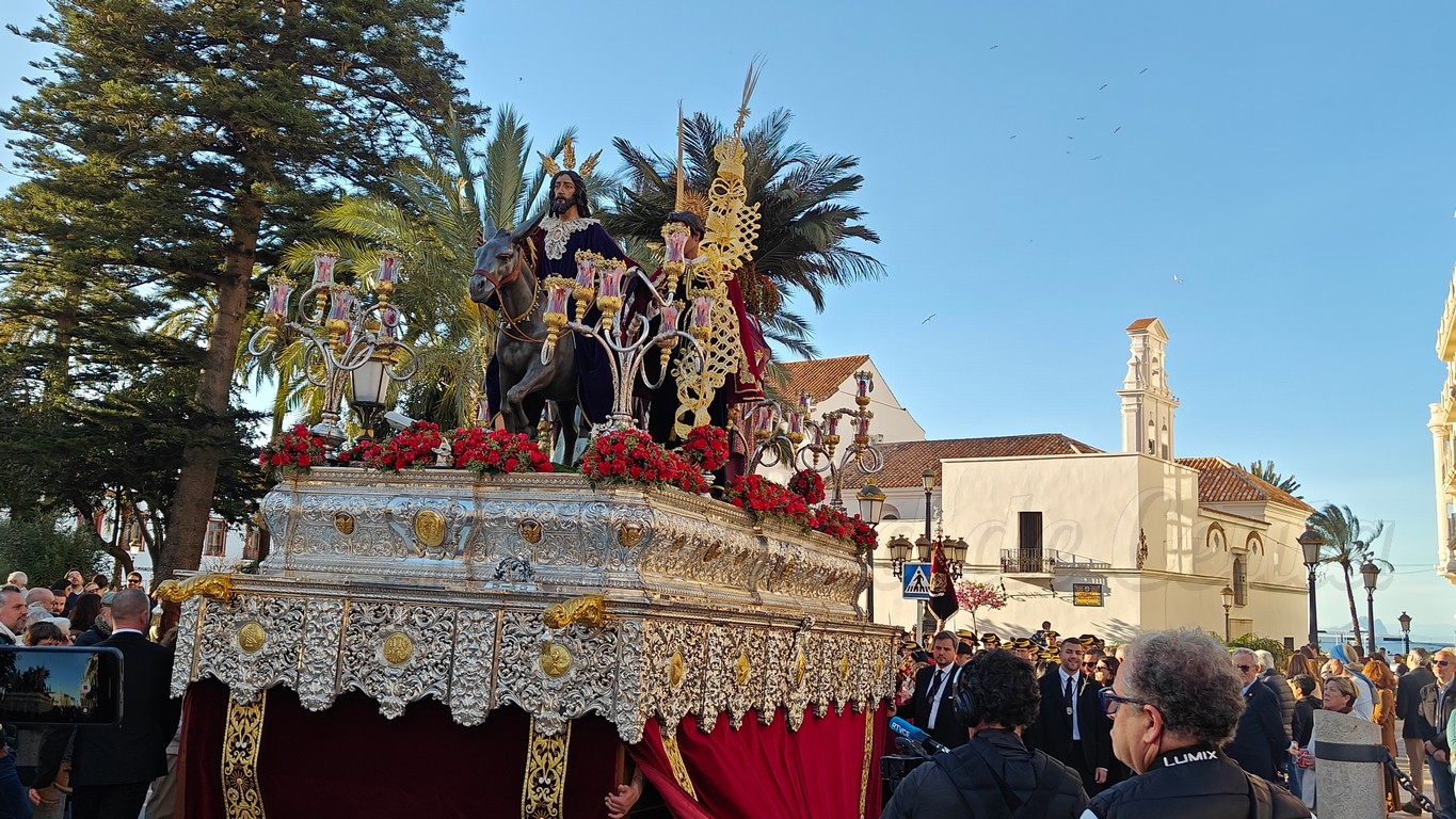 Pollinica 2026 07
