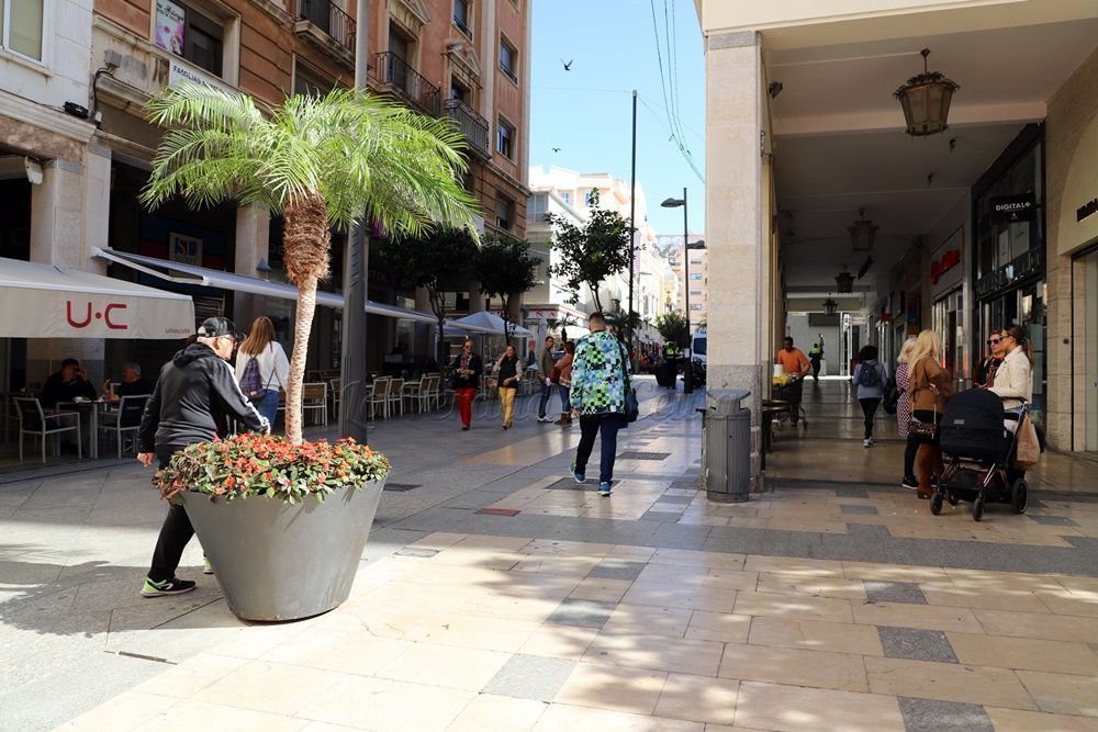 El Consejo de Consumidores y Usuarios se pronuncia sobre los derechos de ciudadanía