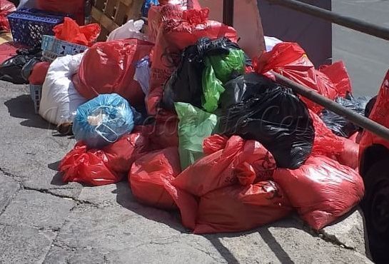 Recogidas más de 60 toneladas de despojos de animales