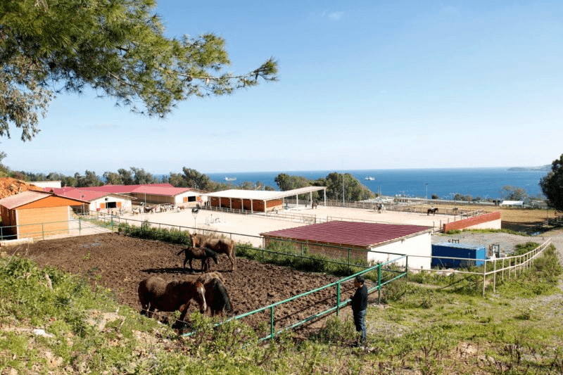 La Federación de Hípica de Ceuta cederá la gestión del Centro Ecuestre